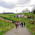 Sidrería (209)